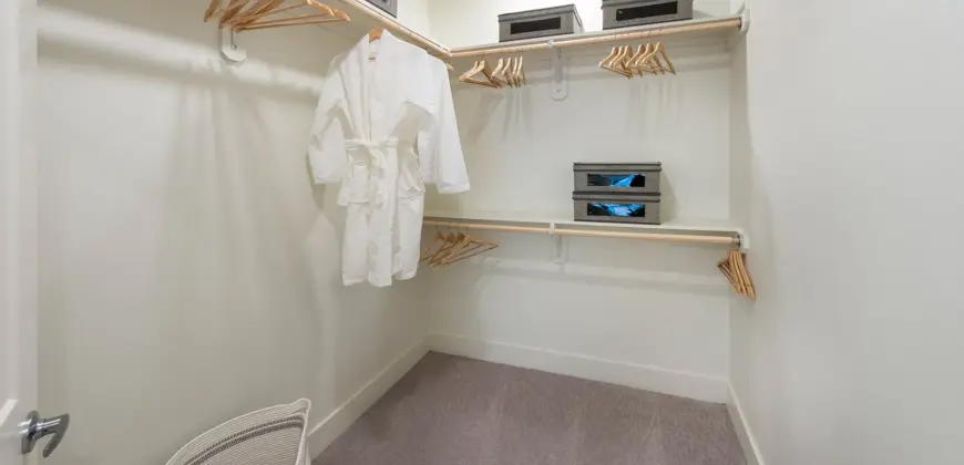 The Lane At Waterway