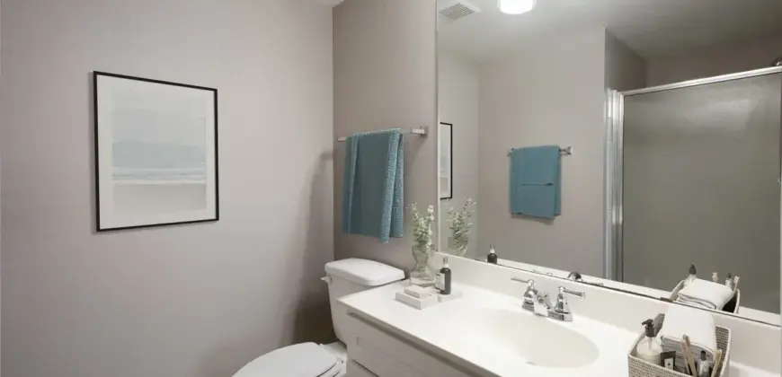 The Links At Forest Creek