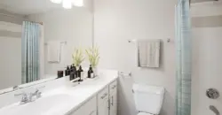 The Links At Forest Creek