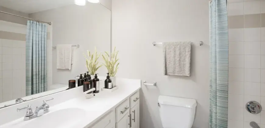 The Links At Forest Creek