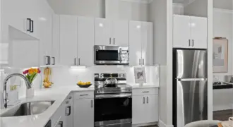 The Mansions Of Buda