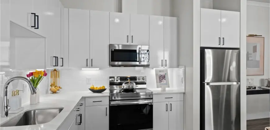 The Mansions Of Buda