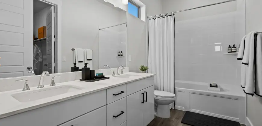 The Mansions Of Buda