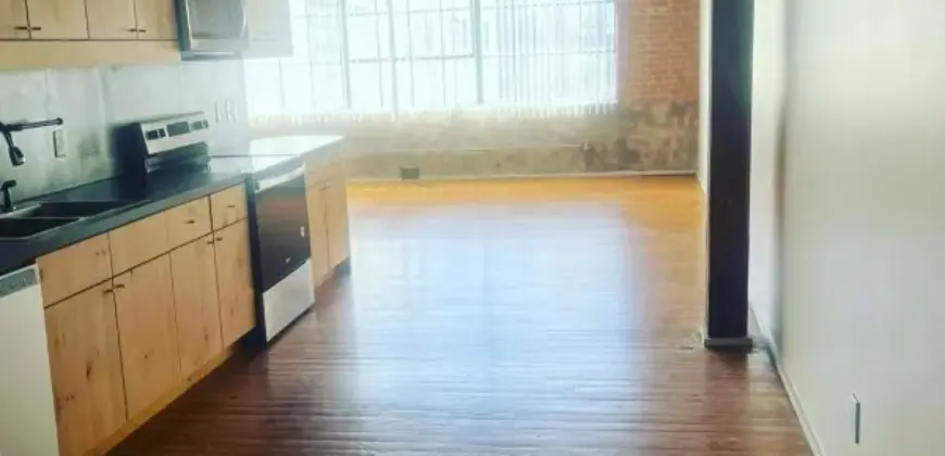 The Mitchell Lofts