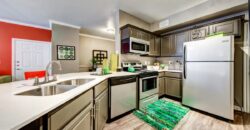 The Nine On Shoreline