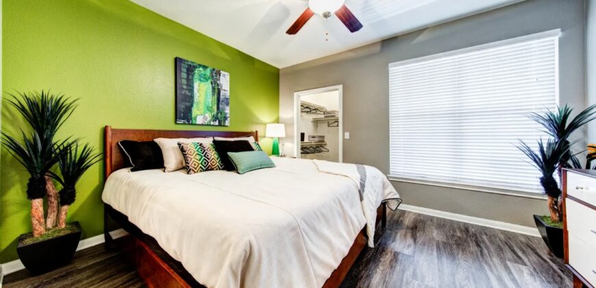 The Nine On Shoreline