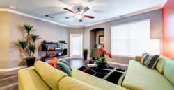 The Nine On Shoreline