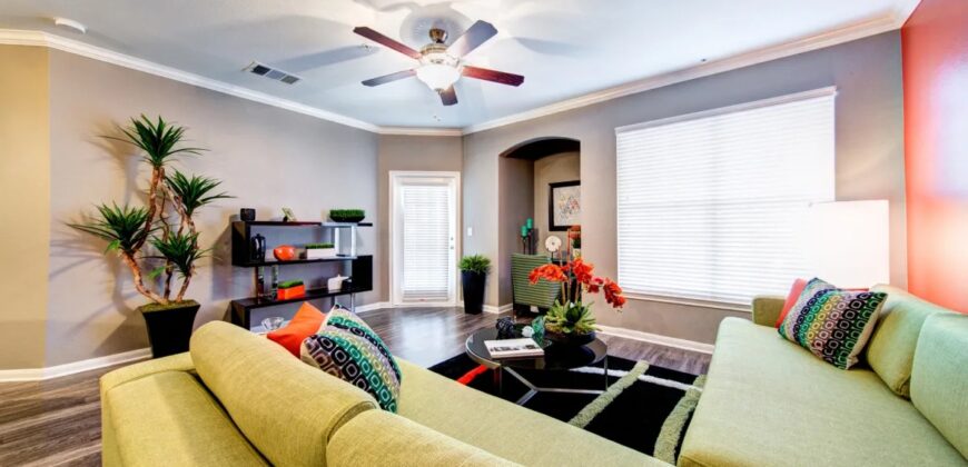 The Nine On Shoreline