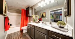 The Nine On Shoreline