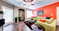 The Nine On Shoreline