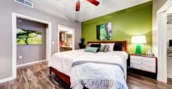 The Nine On Shoreline