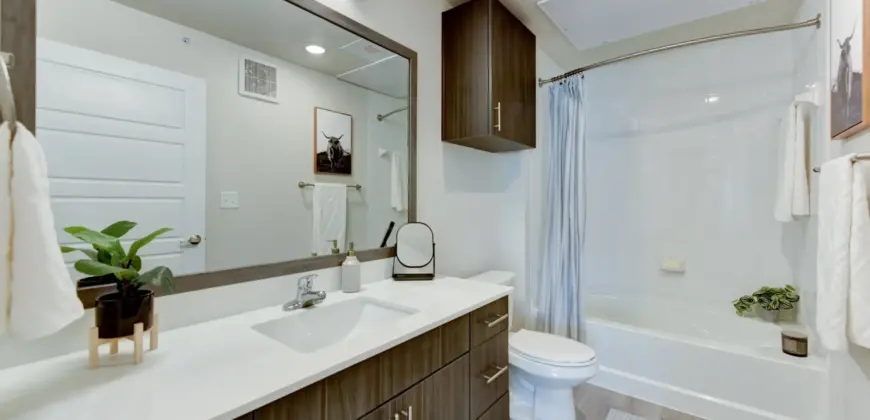 The Park At Speyside