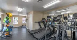 The Park At Wells Branch