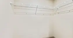 The Phoenix