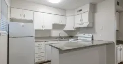 The Preserve Central Park