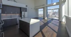 The Travis