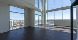 The Travis
