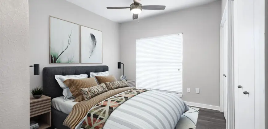 The Village At Gracy Farms