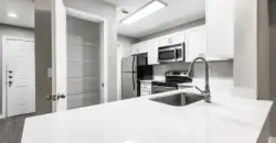 The Village At Gracy Farms