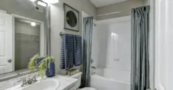 The Villages Of Briar Forest