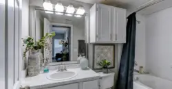 The Villages Of Briar Forest