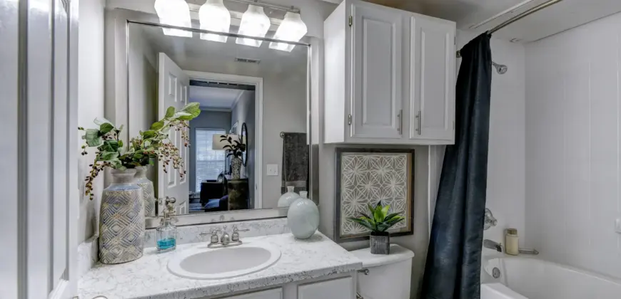 The Villages Of Briar Forest