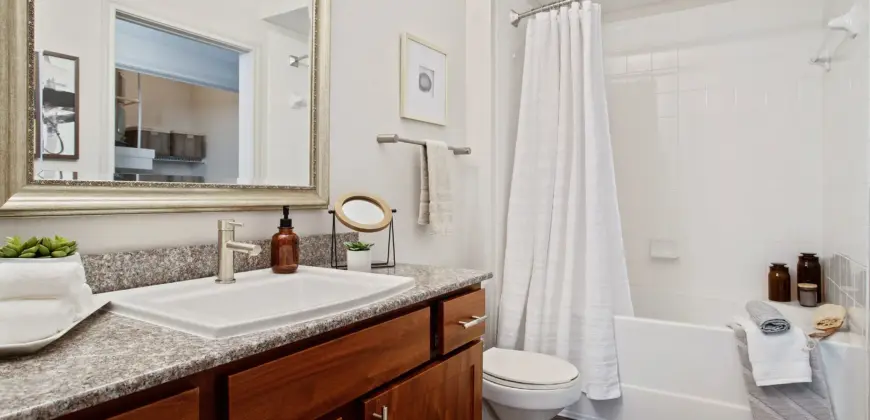 The Volare At The Woodlands