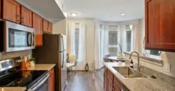 The Volare At The Woodlands