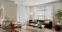 The Volare At The Woodlands