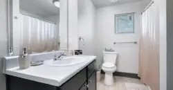 The Waters At Willow Run