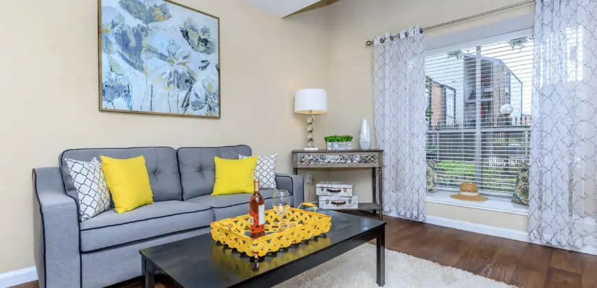 The Woods On LaMonte