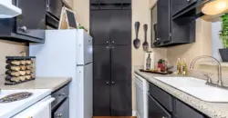 The Woods On LaMonte