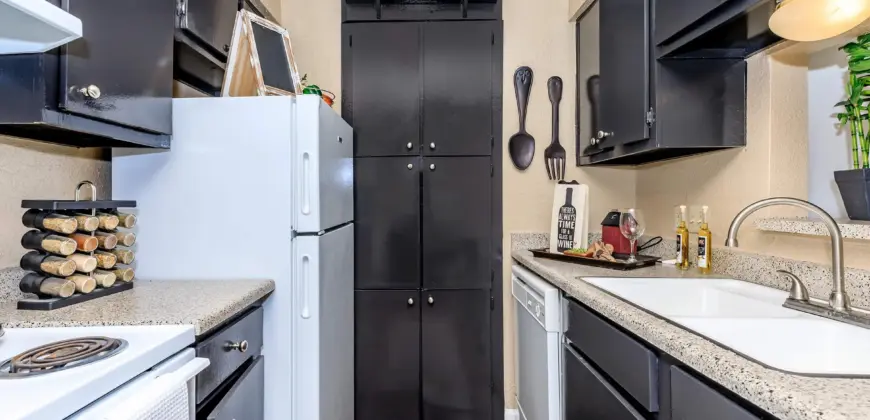 The Woods On LaMonte