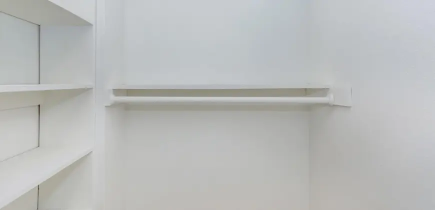 The Woods On LaMonte