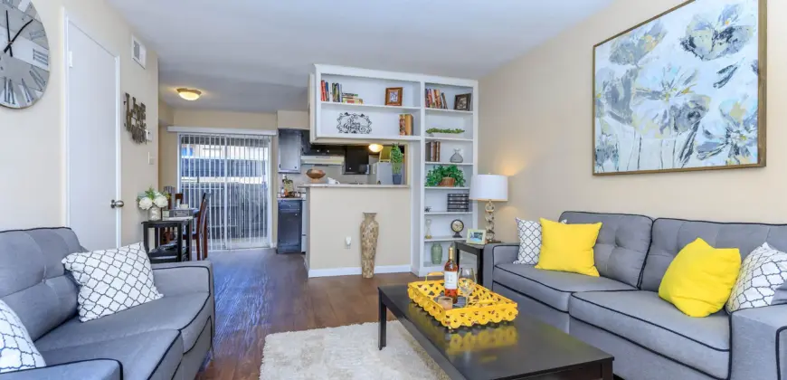 The Woods On LaMonte