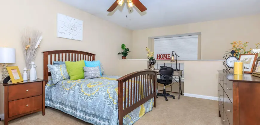 The Woods On LaMonte