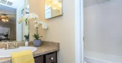 The Woods On LaMonte