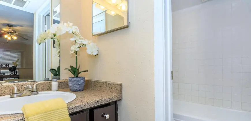 The Woods On LaMonte