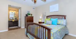 The Woods On LaMonte