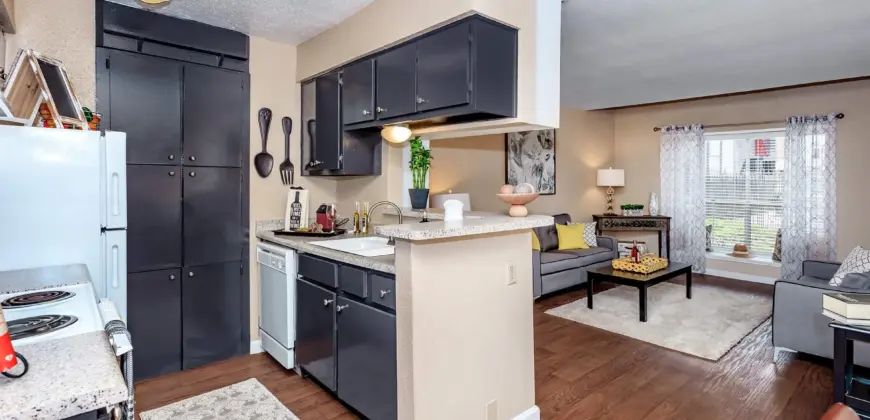 The Woods On LaMonte