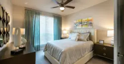 Town Center Lofts