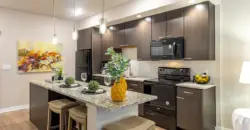 Town Center Lofts