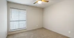 Urban Palms