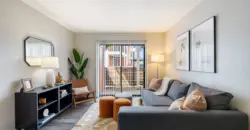 Urban Palms