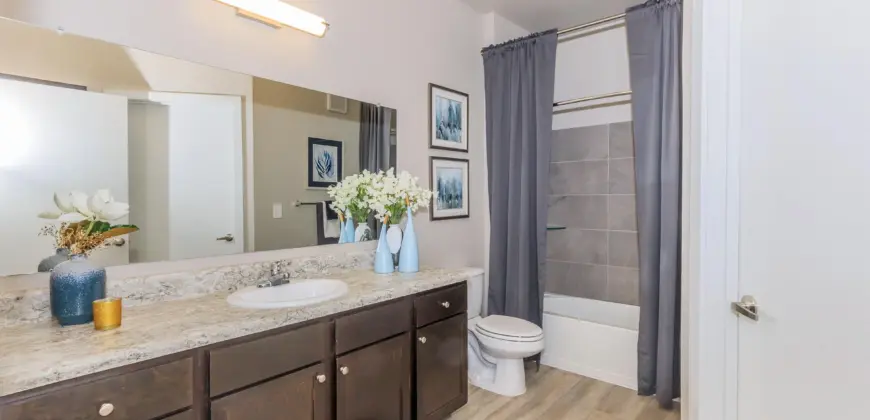 Vantage At McKinney Falls