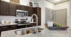 Ventana At Plum Creek