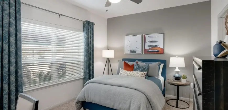 Ventana At Plum Creek