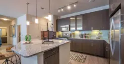 Vista Energy Corridor