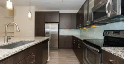 Vista Energy Corridor