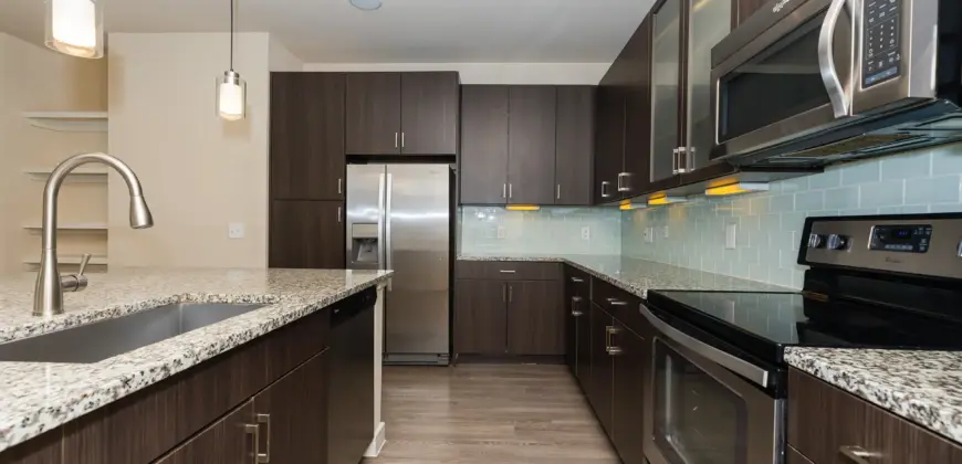 Vista Energy Corridor